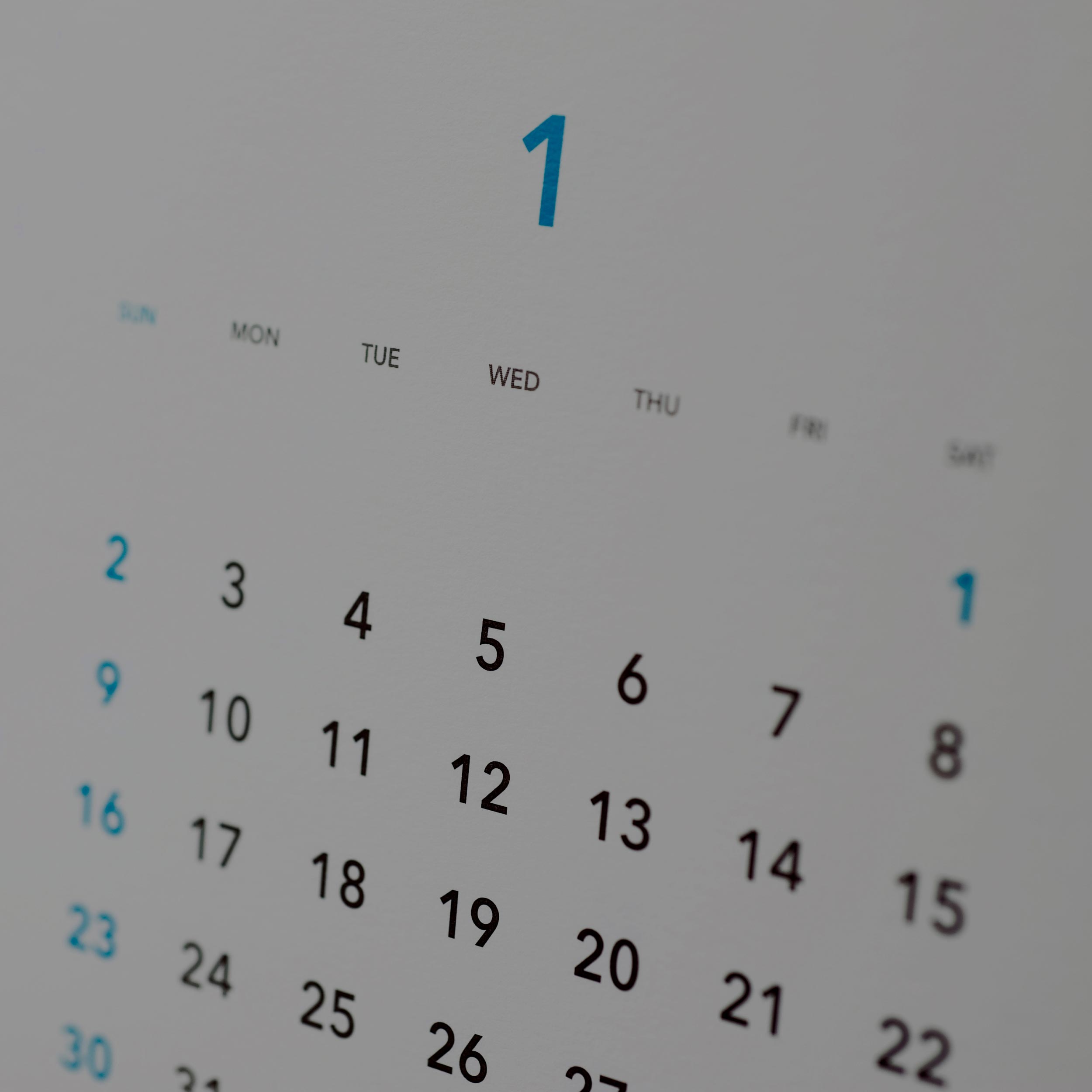 Auction Calendar