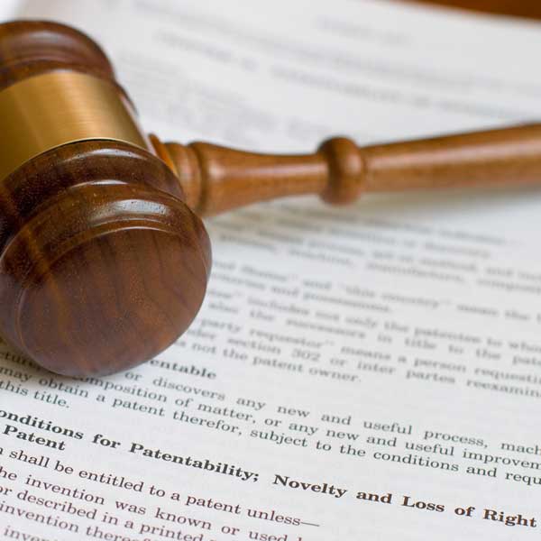 image of Amendment Bill page