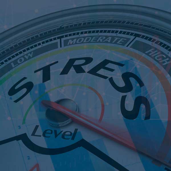 SARB Stress Testing Framework